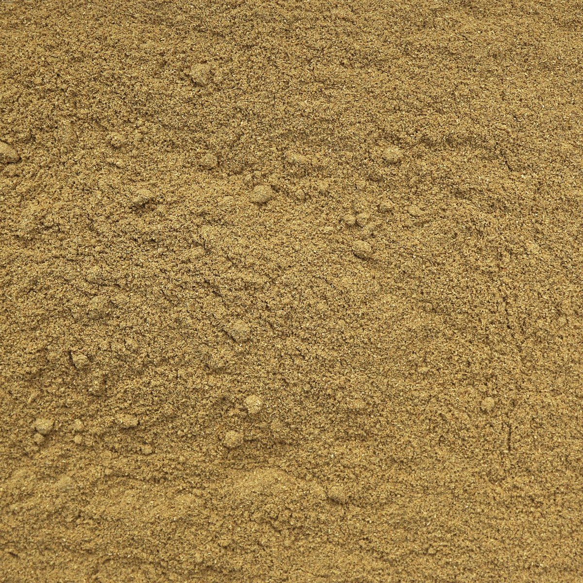 ORGANIC CORIANDER SEED, powder | Organic Matters