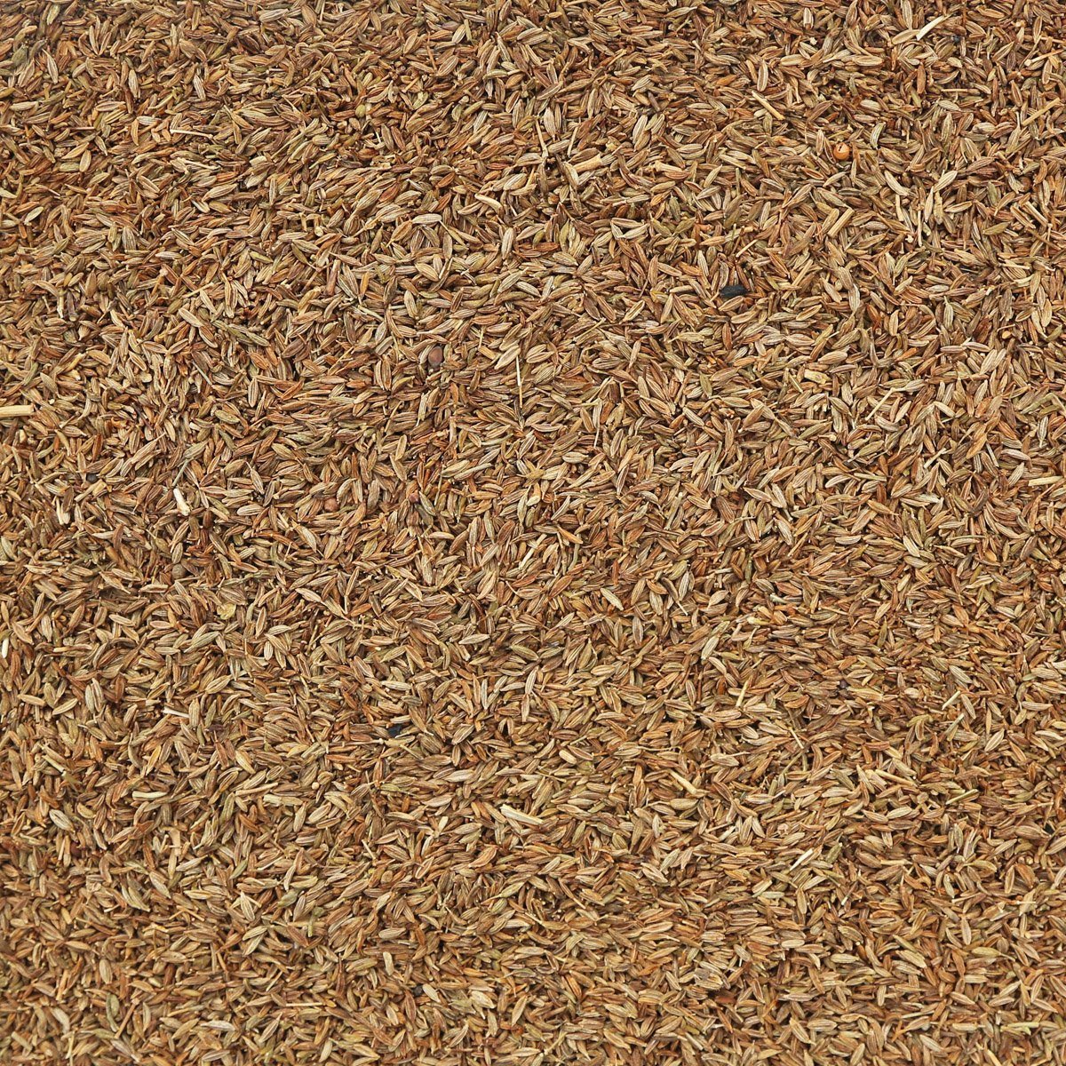 ORGANIC CUMIN SEEDS, whole | Organic Matters