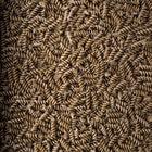 ORGANIC MUNG BEAN PASTA, Fusilli
