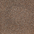 ORGANIC CHIA SEEDS, black