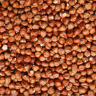 ORGANIC HAZELNUTS, raw, whole | Organic Matters