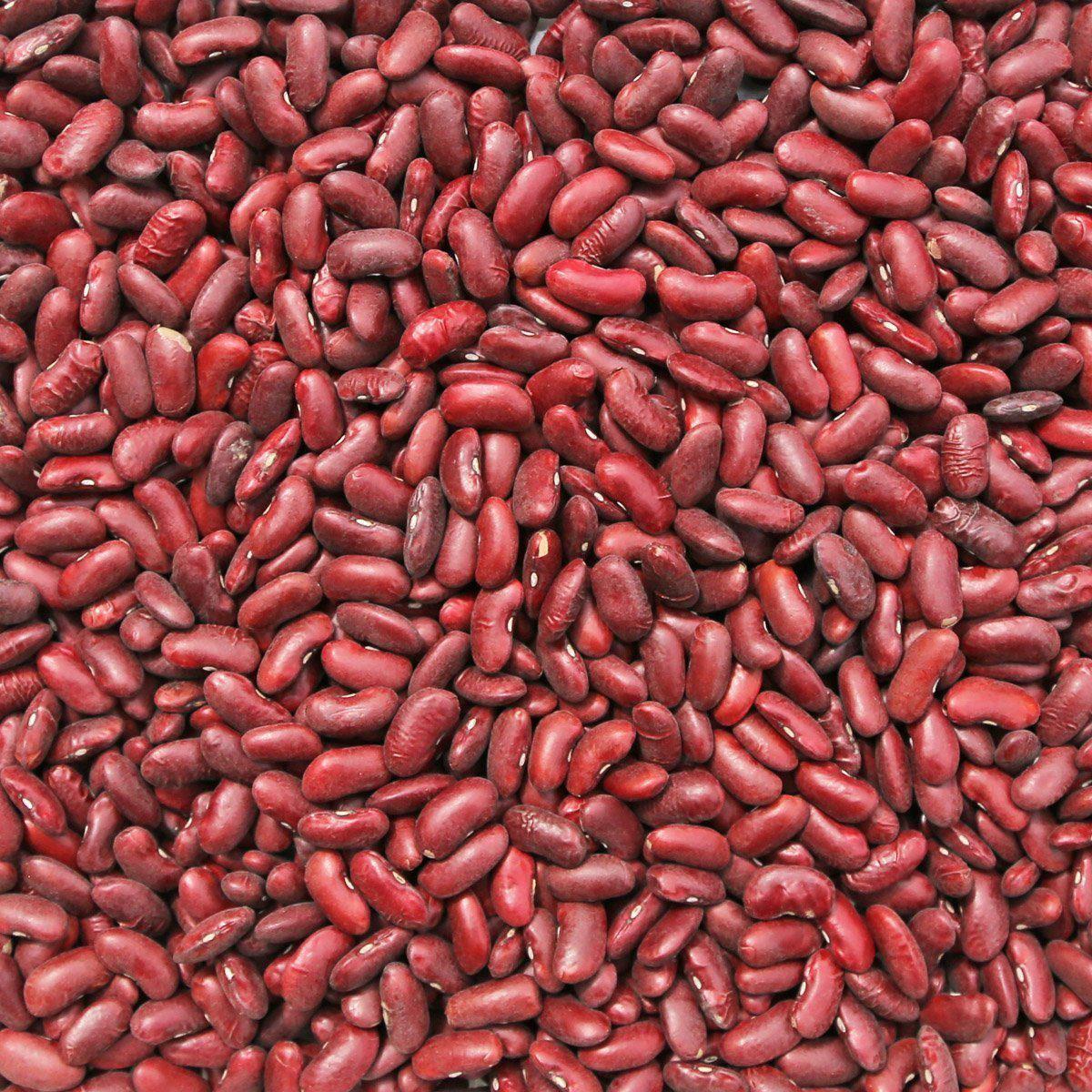 ORGANIC KIDNEY BEANS, dark red | Organic Matters
