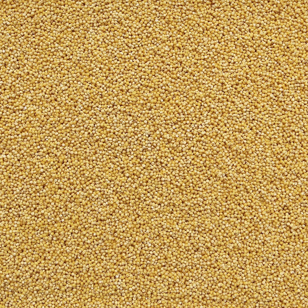 ORGANIC MILLET | Organic Matters