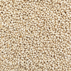 ORGANIC NAVY BEANS | Organic Matters