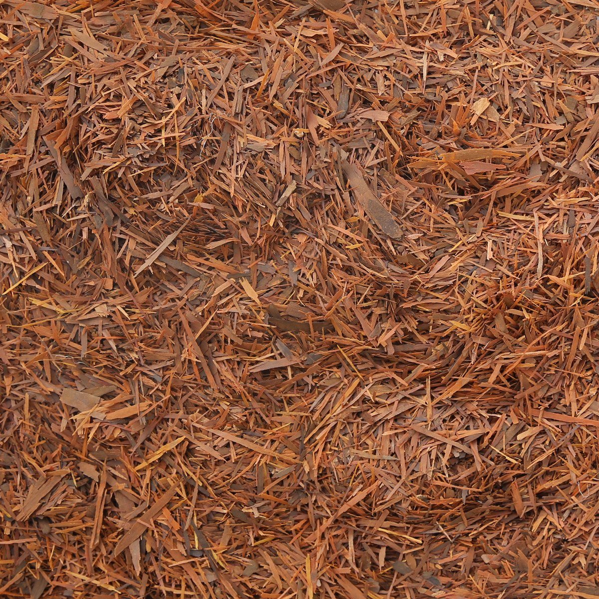 PAU D'ARCO BARK, c/s, wildcrafted