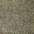 ORGANIC PEPPERCORN, green, whole | Organic Matters