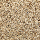 ORGANIC PEPPERCORN, white, whole | Organic Matters