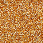 ORGANIC POPCORN, yellow | Organic Matters