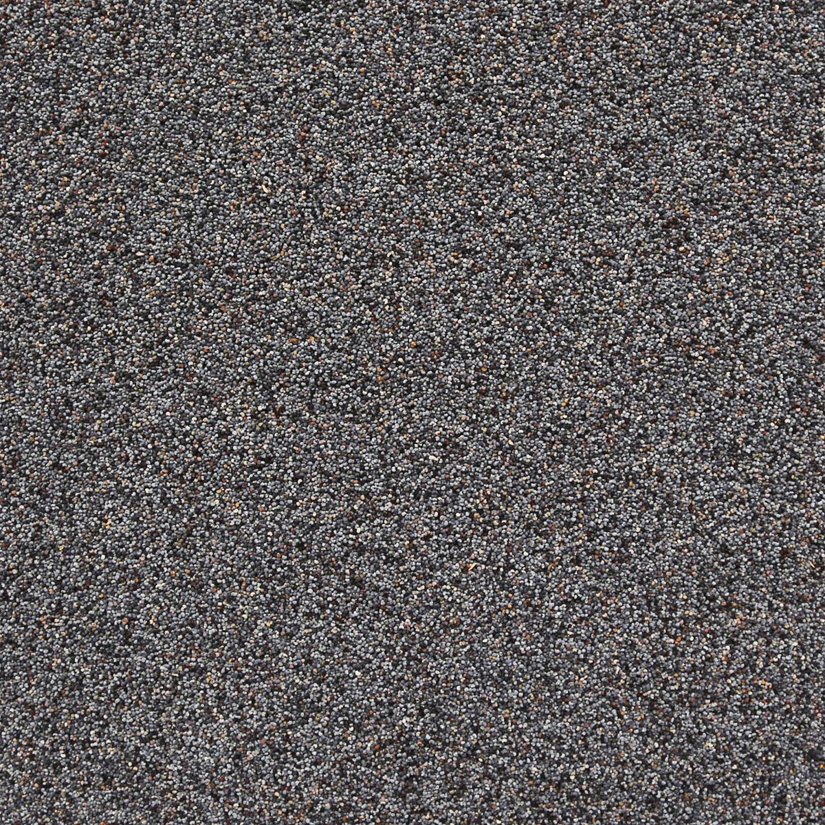 ORGANIC POPPY SEEDS, black | Organic Matters