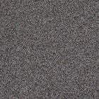 ORGANIC POPPY SEEDS, black | Organic Matters