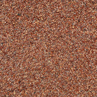 ORGANIC RADISH SEEDS, Sprouting Blend | Organic Matters