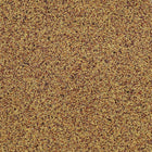 ORGANIC RED CLOVER SEED, sprouting | Organic Matters