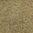 ORGANIC ROSEMARY LEAF, whole or broken | Organic Matters