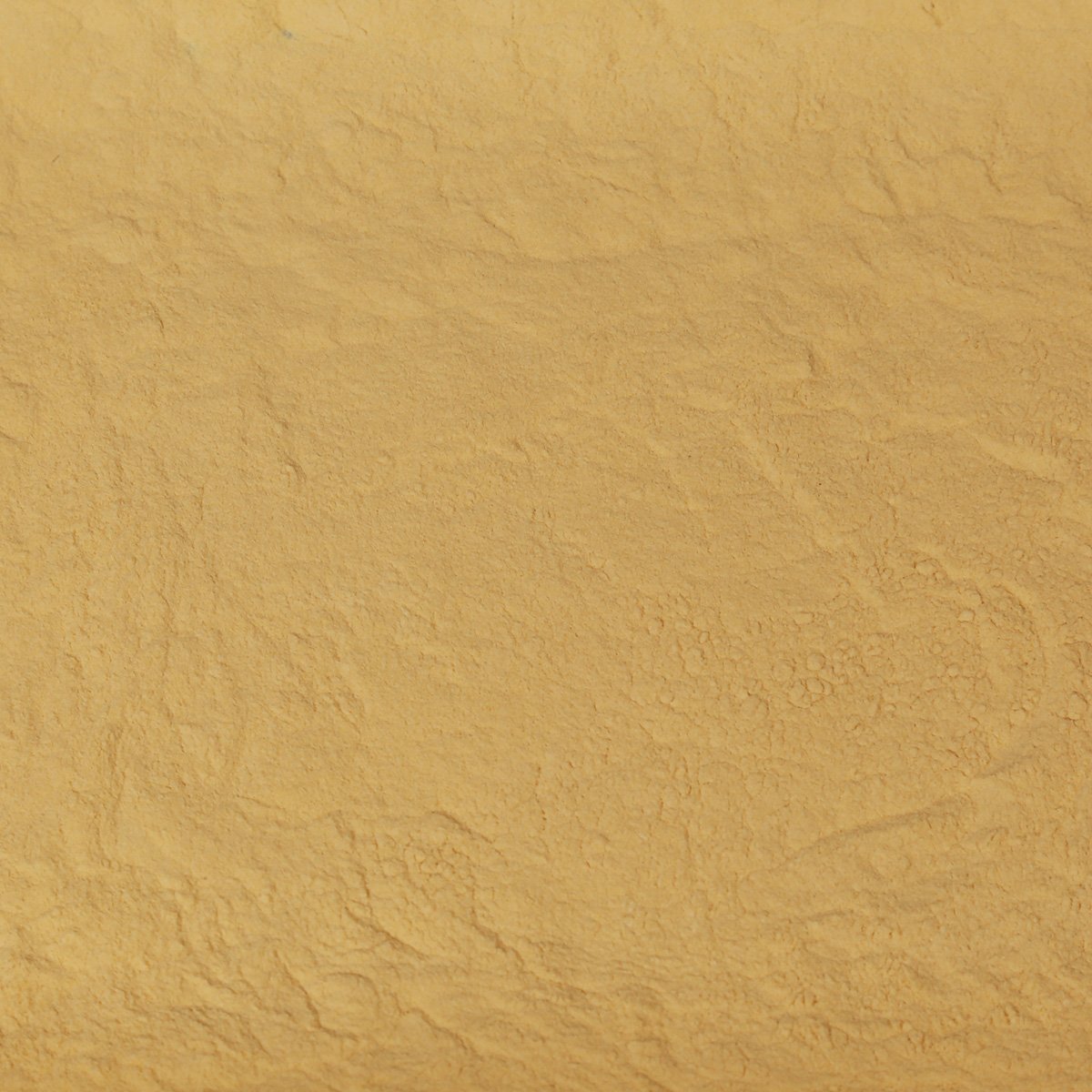 ORGANIC SEABUCKTHORN BERRY, juice powder | Organic Matters