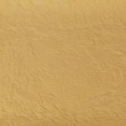 ORGANIC SEABUCKTHORN BERRY, juice powder | Organic Matters