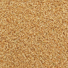 ORGANIC RICE, short grain, brown | Organic Matters