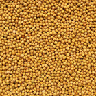 ORGANIC SOY BEANS | Organic Matters
