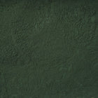ORGANIC SPIRULINA, powder | Organic Matters