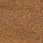 ORGANIC SPROUTING MIX (Sandwich Mix)